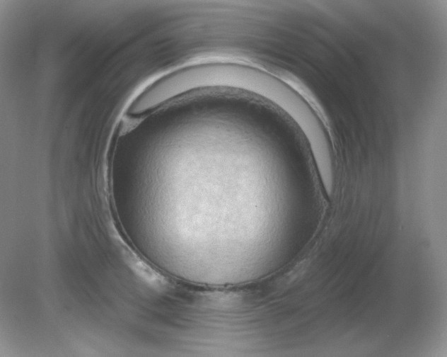 X0000081600996200701291356