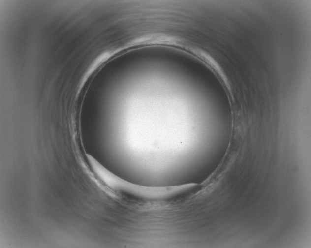 X0000081600997200701291356