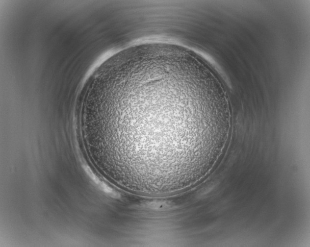 X0000081600998200701291356