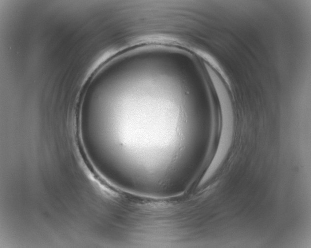 X0000081600999200701291356