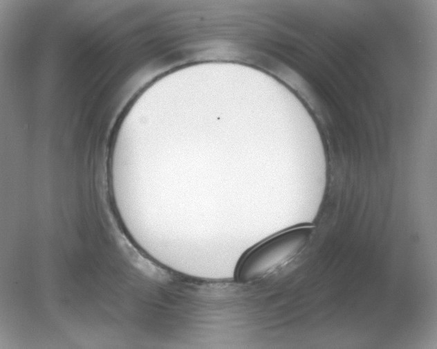 X0000081601000200701291356