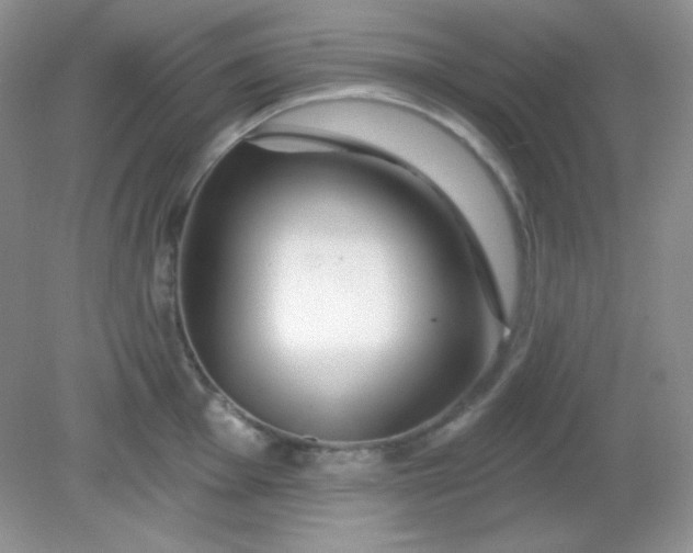 X0000081601001200701291356