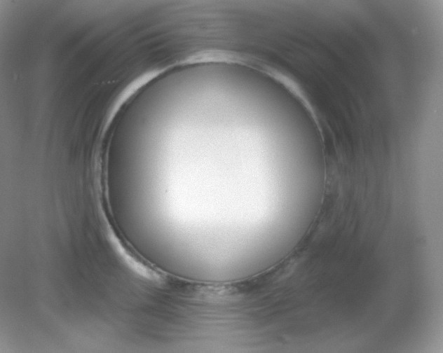 X0000081601003200701291356