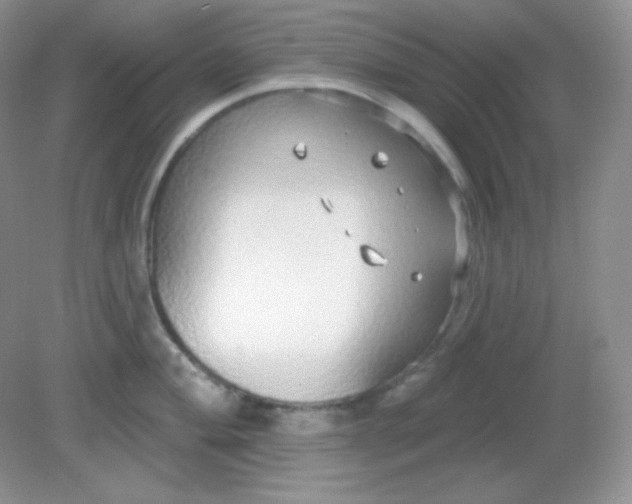 X0000081601004200701291356