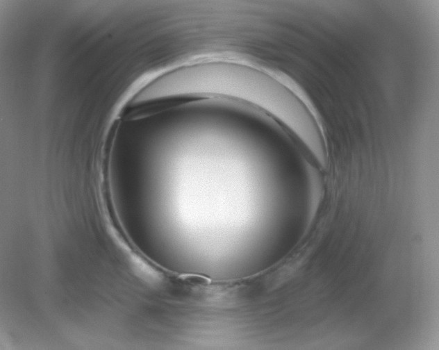 X0000081601005200701291356