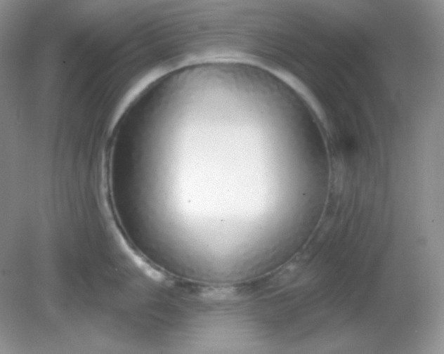 X0000081601006200701291356