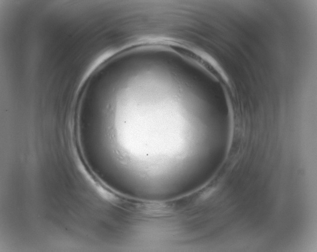 X0000081601007200701291356