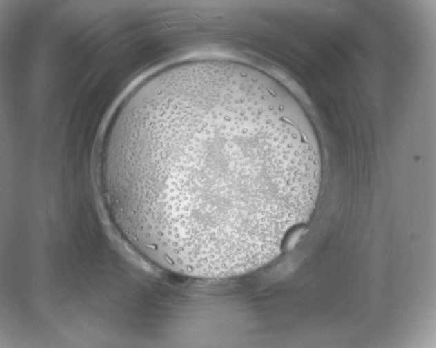 X0000081601008200701291356