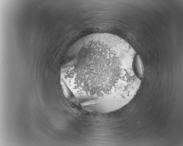 X0000081601009200701291355