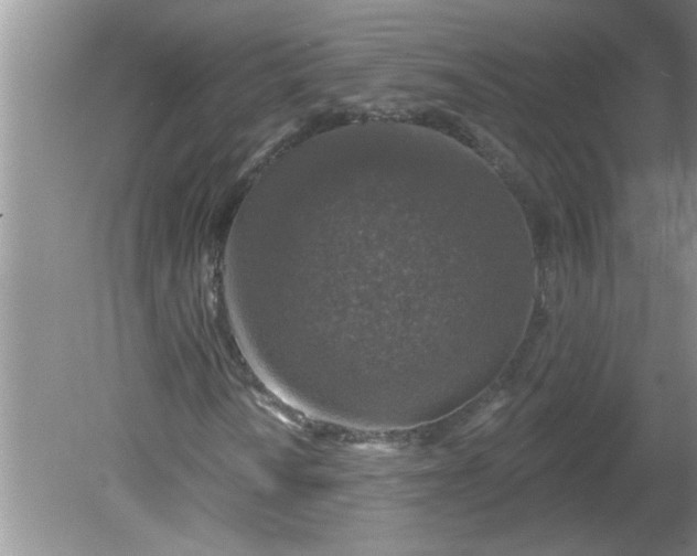 X0000081601010200701291355