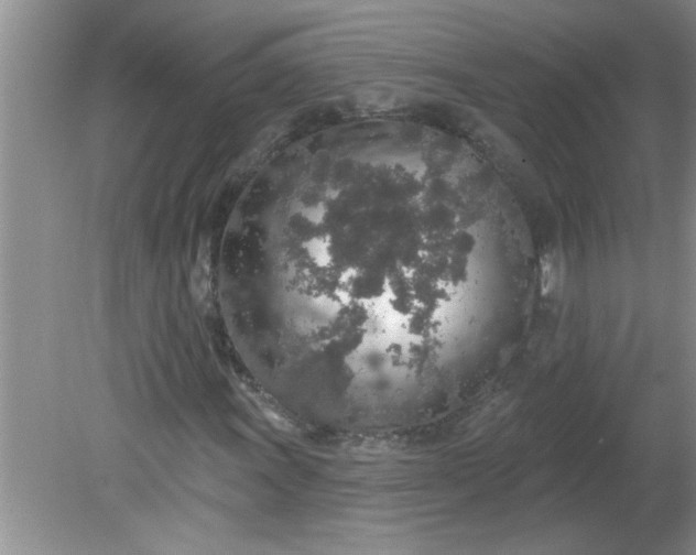 X0000081601011200701291355