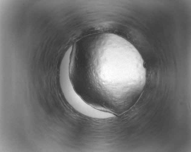 X0000081601012200701291355