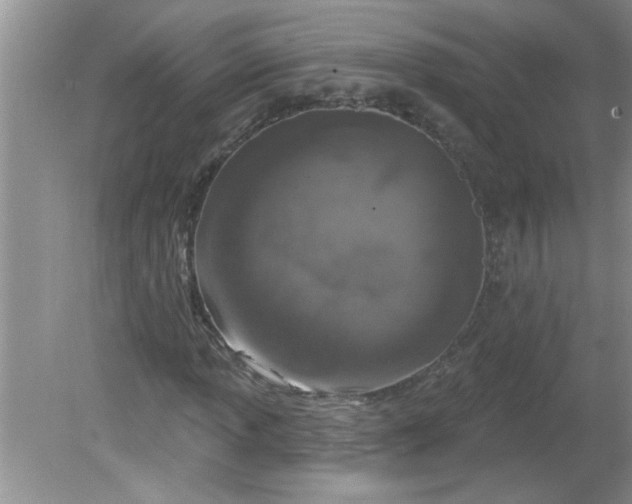 X0000081601013200701291355