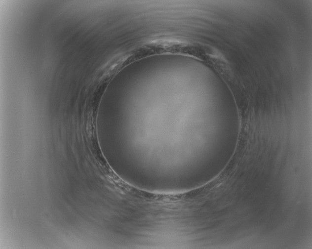 X0000081601014200701291356