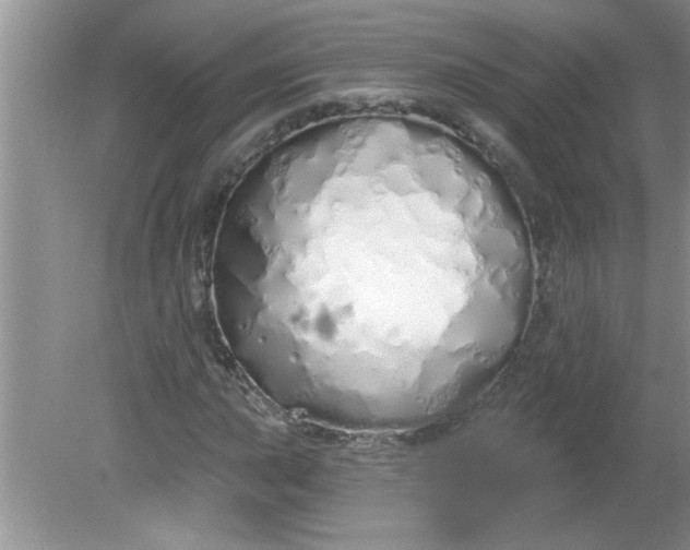 X0000081601015200701291356