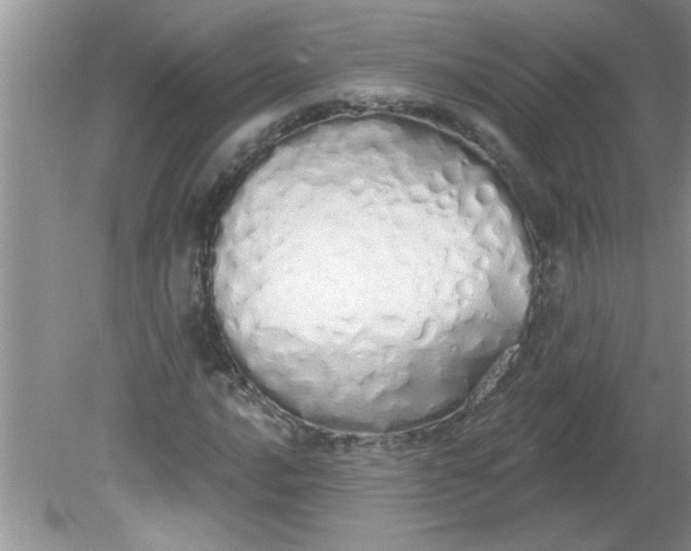 X0000081601016200701291356