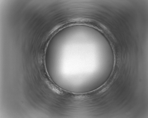 X0000081601017200701291356