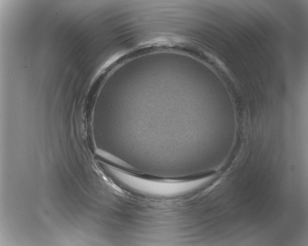 X0000081601018200701291356