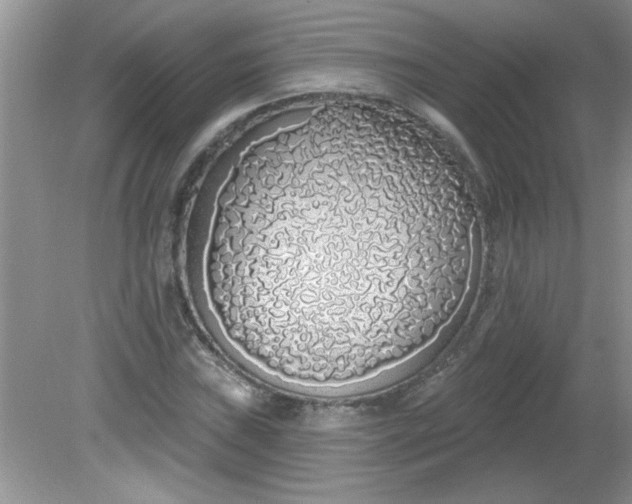 X0000081601019200701291356