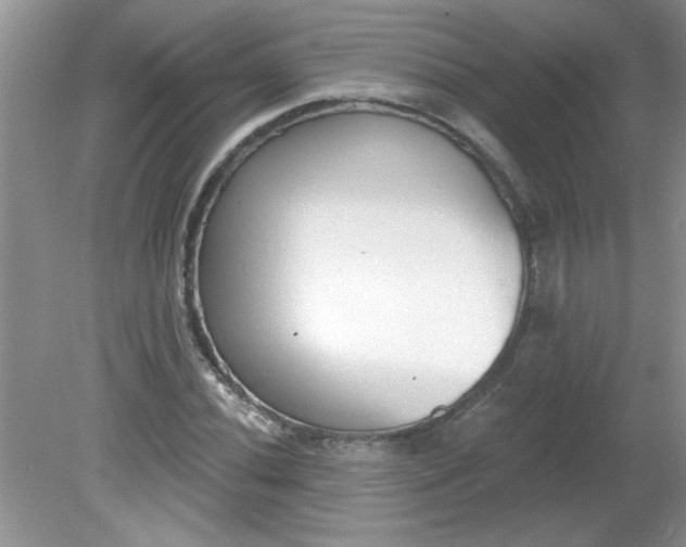 X0000081601020200701291356