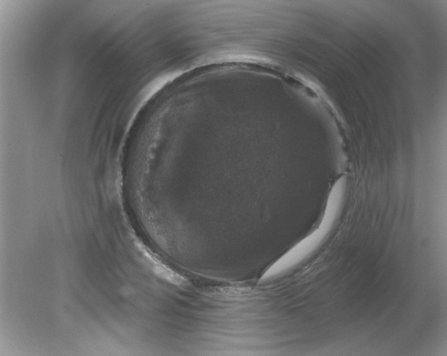 X0000081601024200701291356