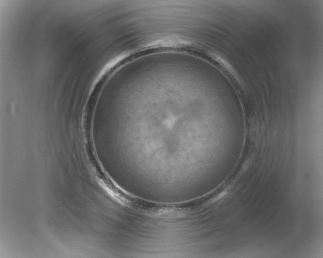 X0000081601026200701291356