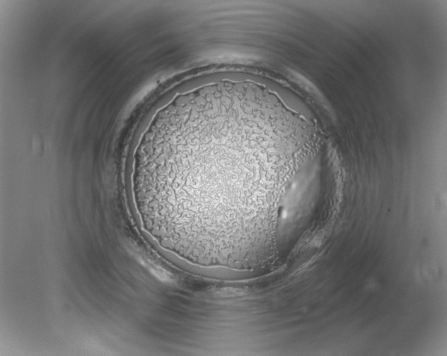 X0000081601027200701291356