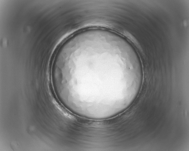 X0000081601028200701291356