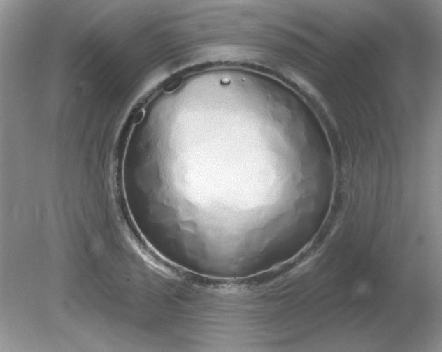 X0000081601029200701291356