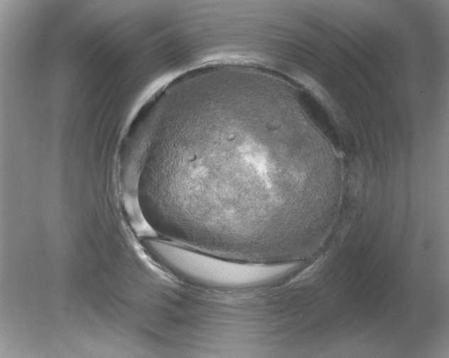 X0000081601030200701291356