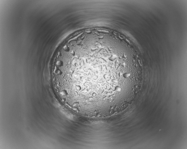 X0000081601031200701291356