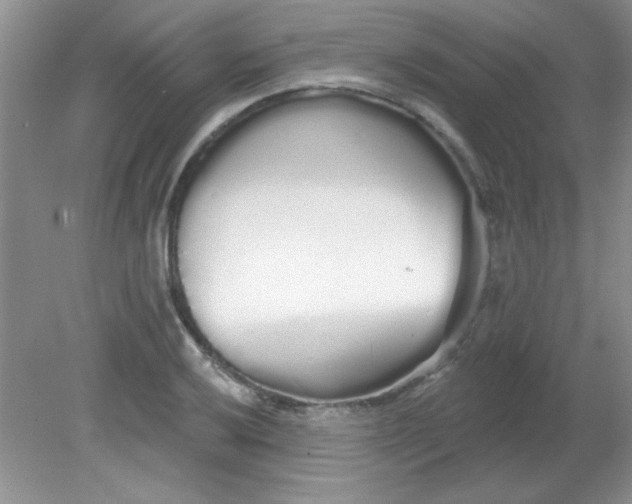 X0000081601032200701291356