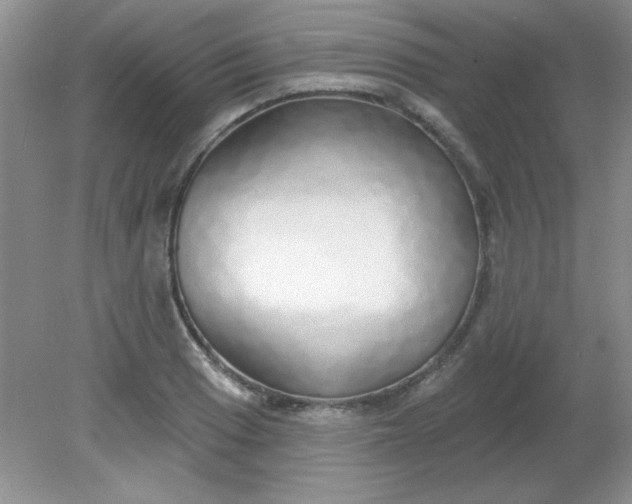 X0000081601033200701291356