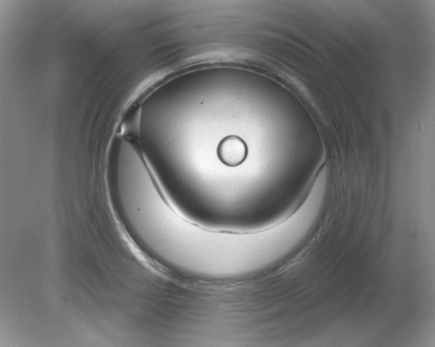 X0000081601034200701291356