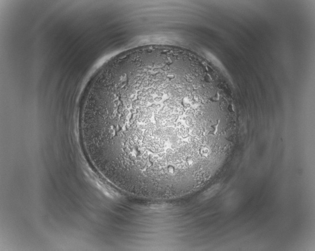 X0000081601035200701291356