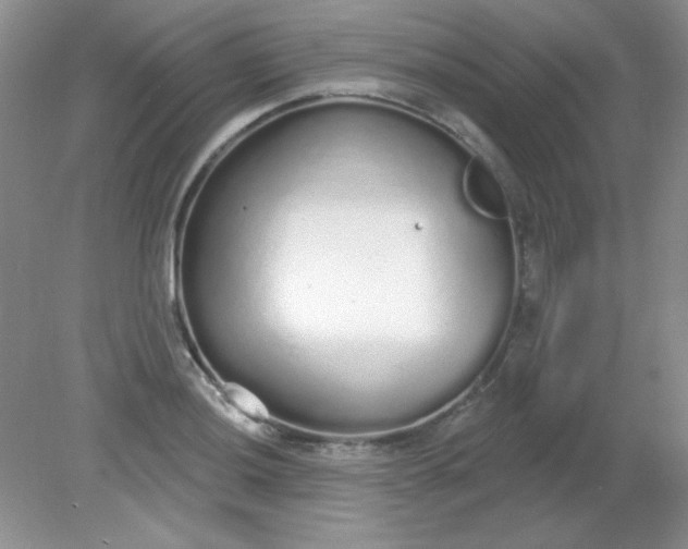 X0000081601036200701291356