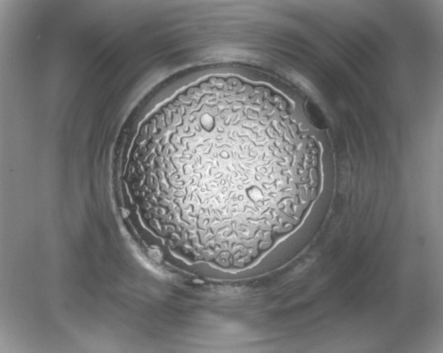 X0000081601039200701291356