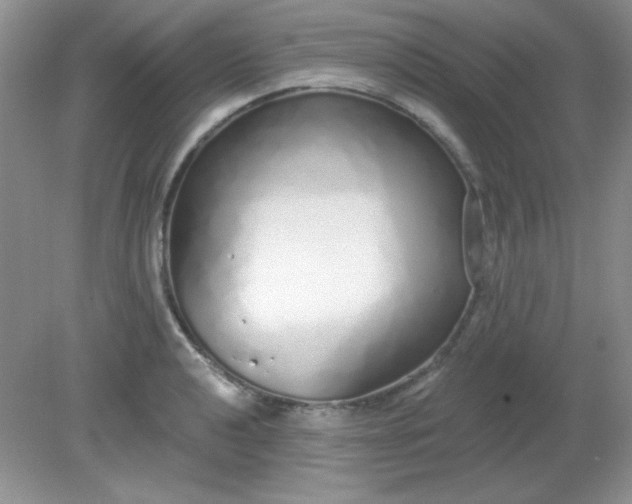 X0000081601040200701291356