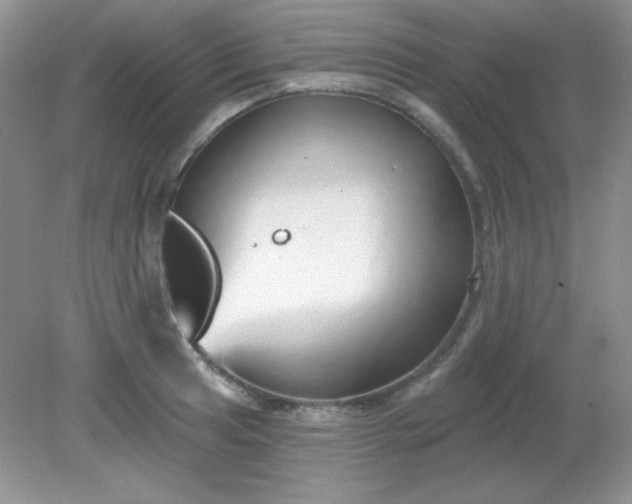 X0000081601041200701291356