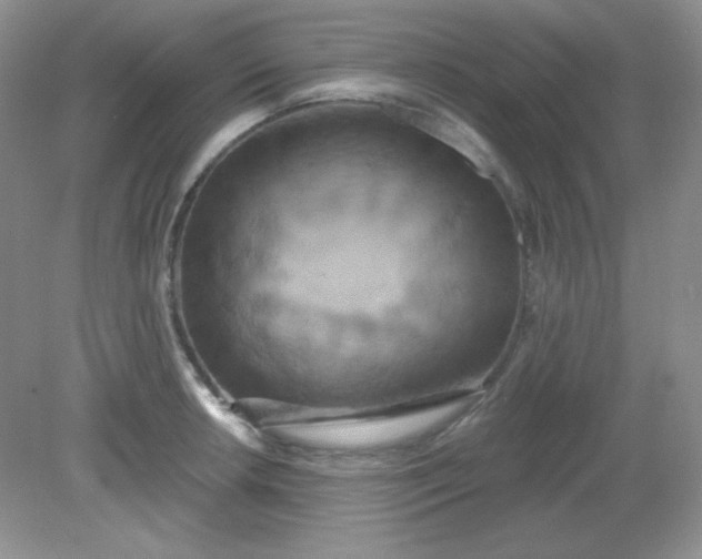 X0000081601042200701291356