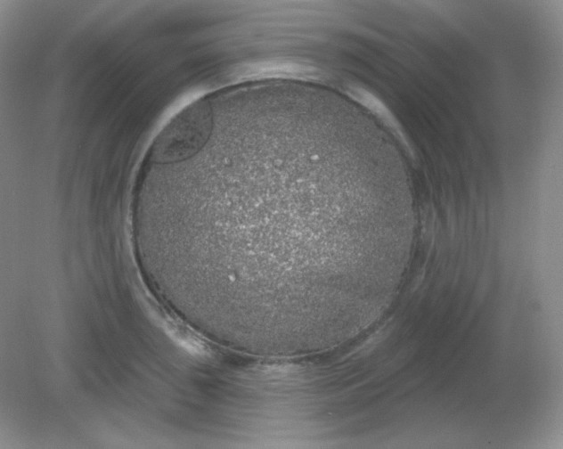 X0000081601043200701291356