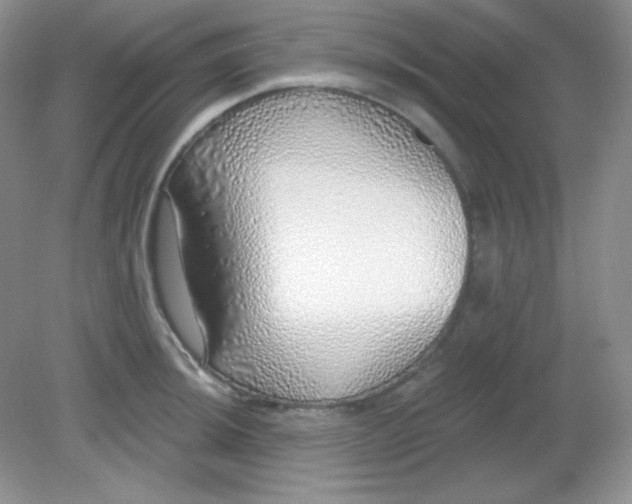 X0000081601044200701291356