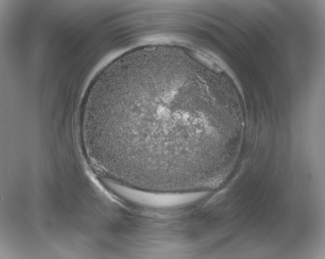 X0000081601045200701291356