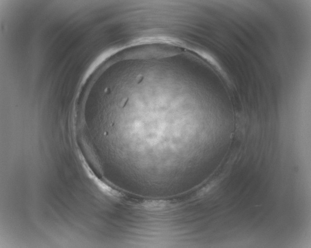 X0000081601046200701291356