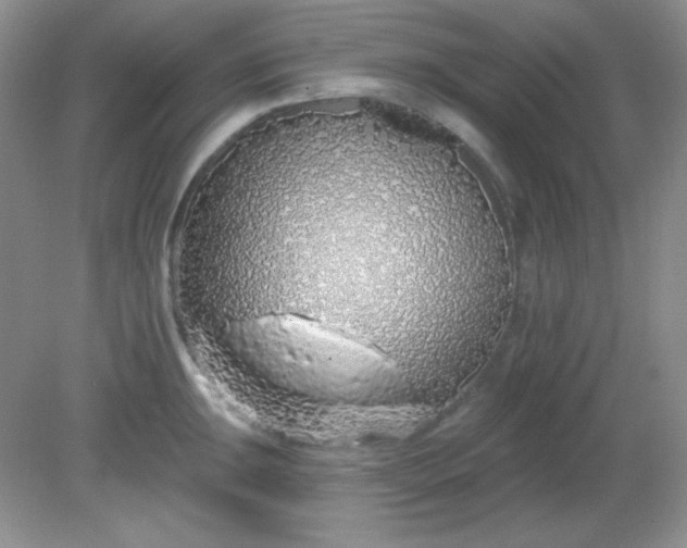 X0000081601047200701291356