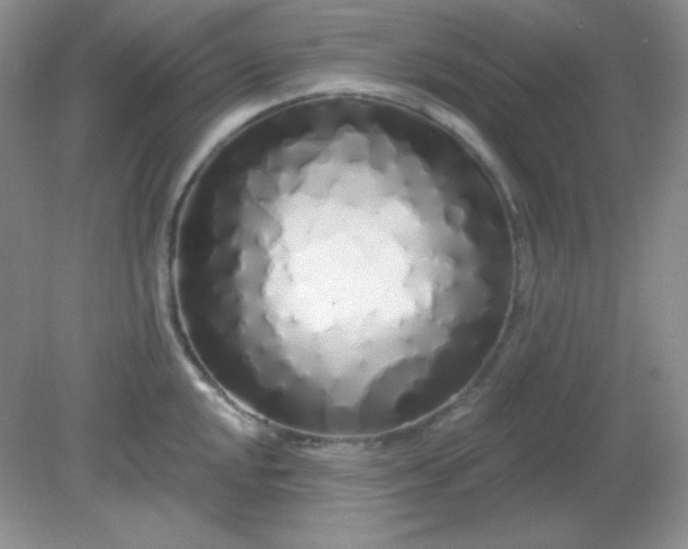 X0000081601048200701291356