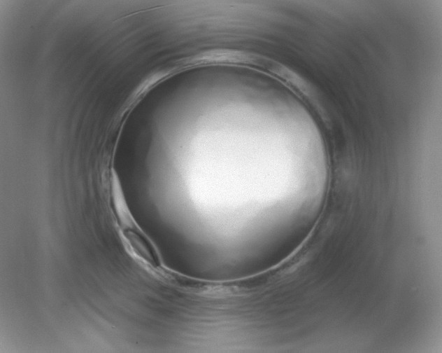 X0000081601049200701291356