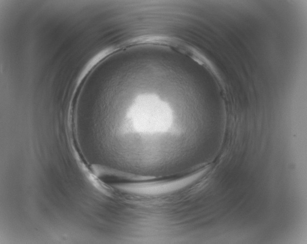 X0000081601050200701291356