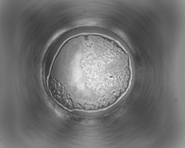 X0000081601051200701291356