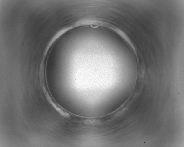 X0000081601053200701291356